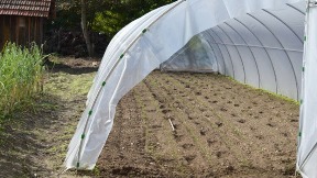 Šansa za dodelu plastenika